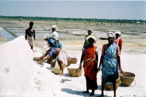 salt-workers